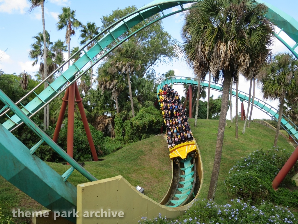 Kumba at Busch Gardens Tampa