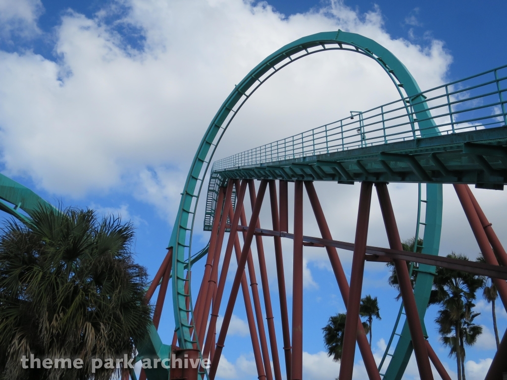 Kumba at Busch Gardens Tampa