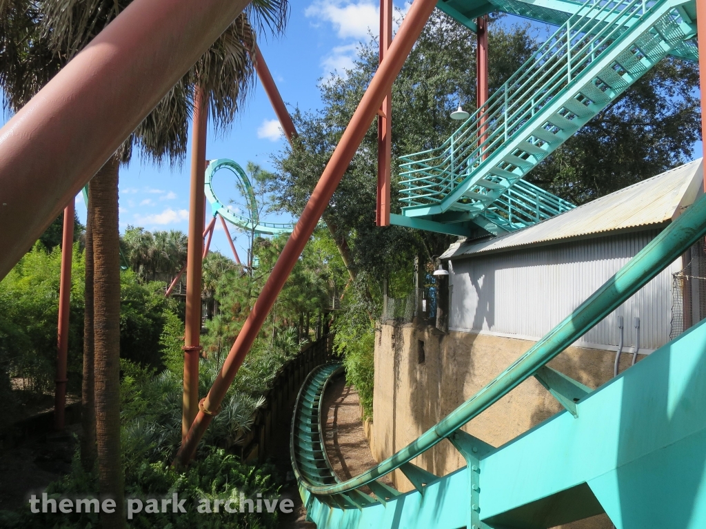 Kumba at Busch Gardens Tampa