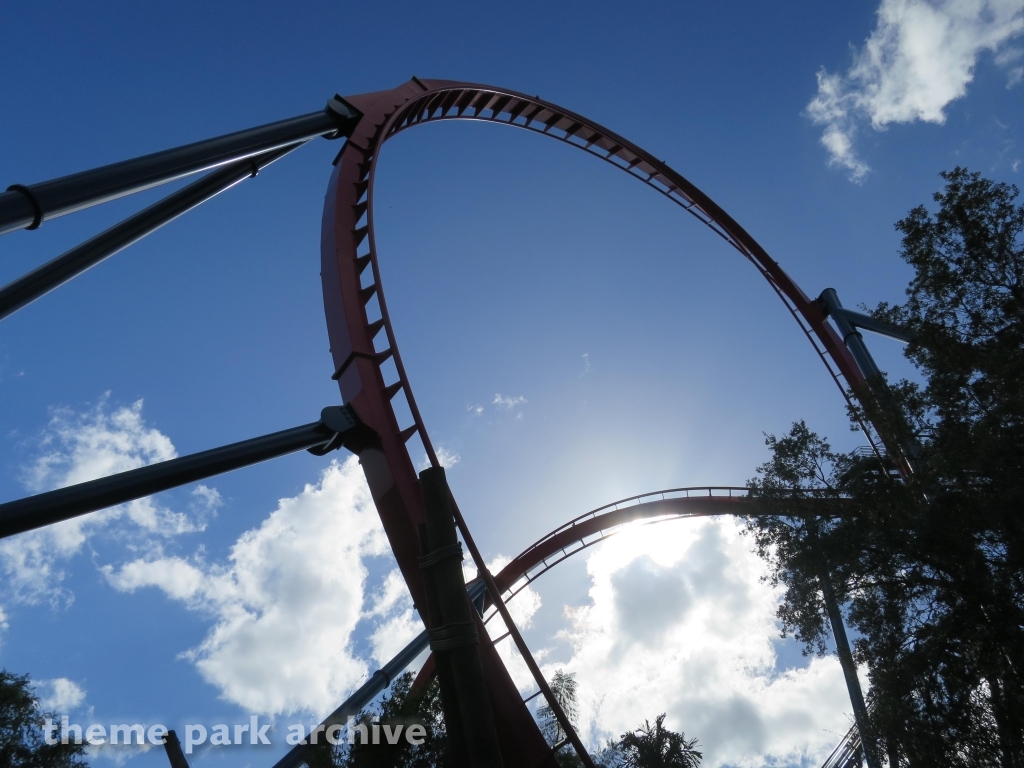 Sheikra at Busch Gardens Tampa