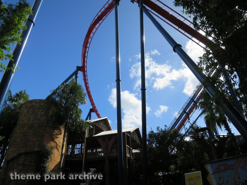 Sheikra at Busch Gardens Tampa