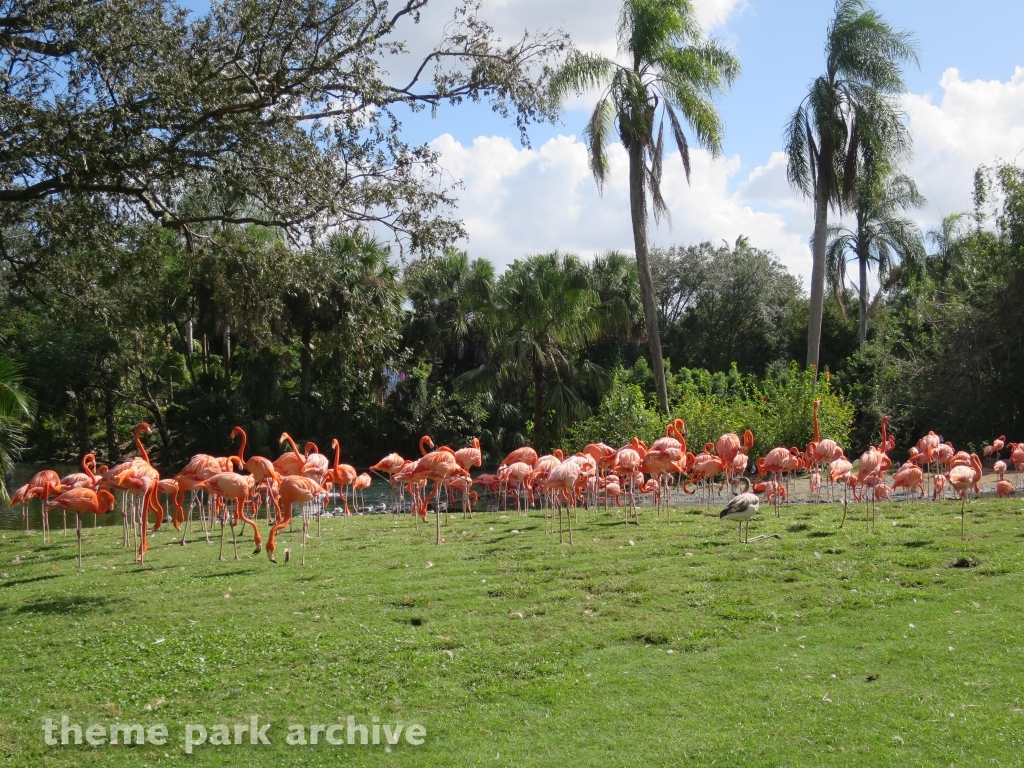 Bird Gardens at Busch Gardens Tampa