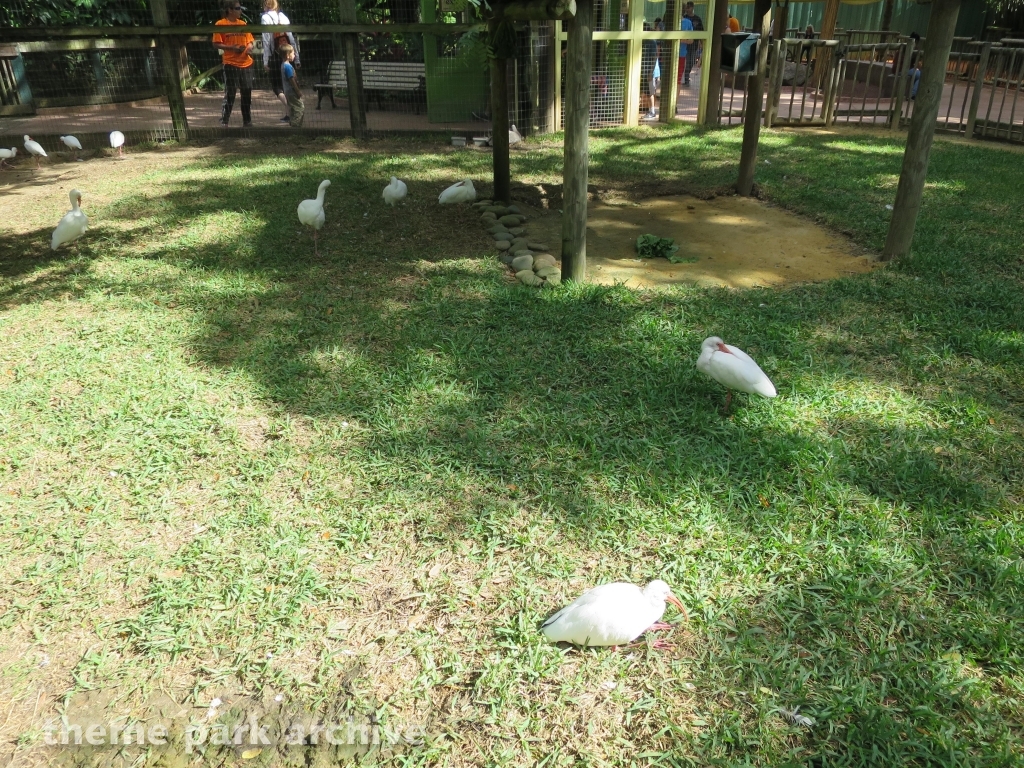 Bird Gardens at Busch Gardens Tampa