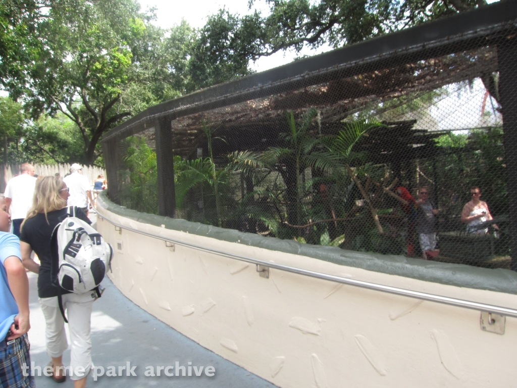 Bird Gardens at Busch Gardens Tampa