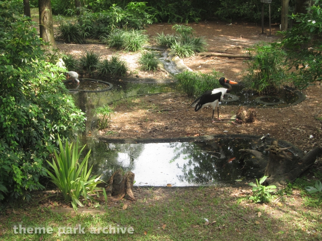 Bird Gardens at Busch Gardens Tampa