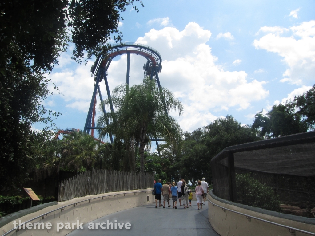 Sheikra at Busch Gardens Tampa