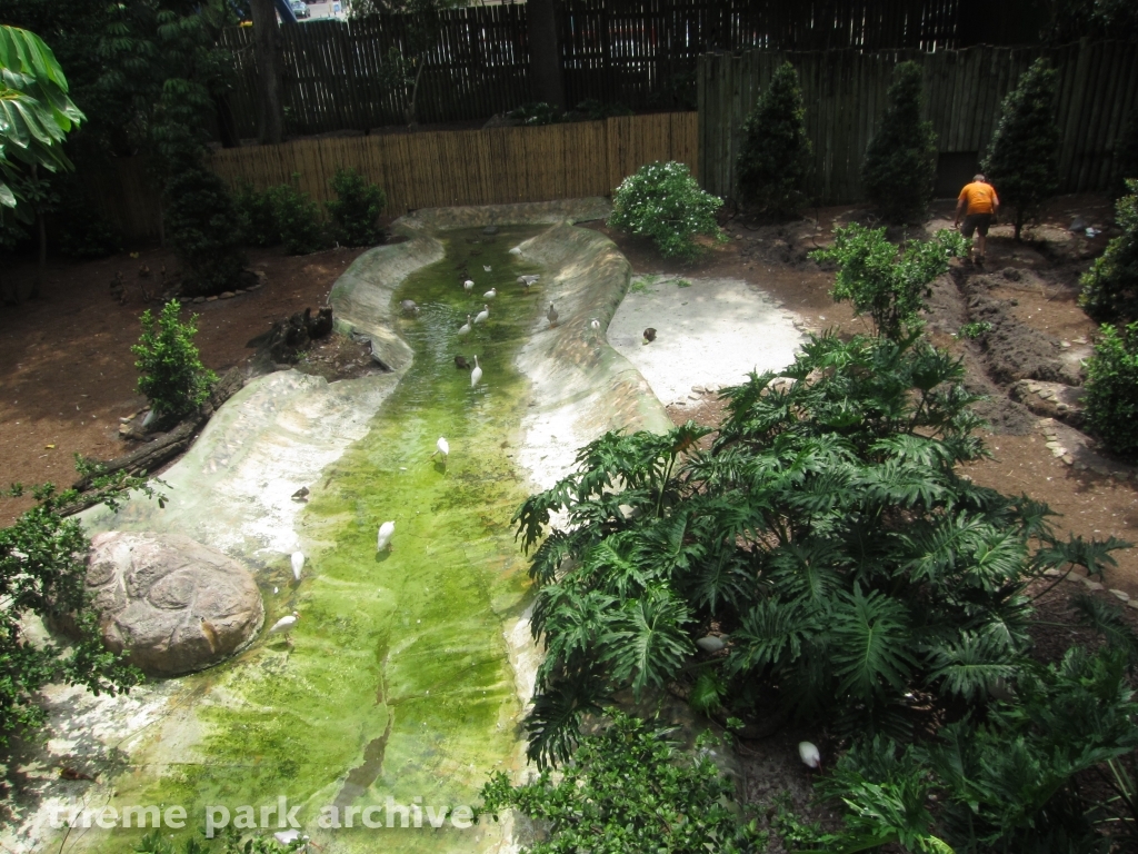 Bird Gardens at Busch Gardens Tampa