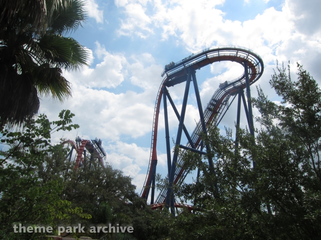 Sheikra at Busch Gardens Tampa