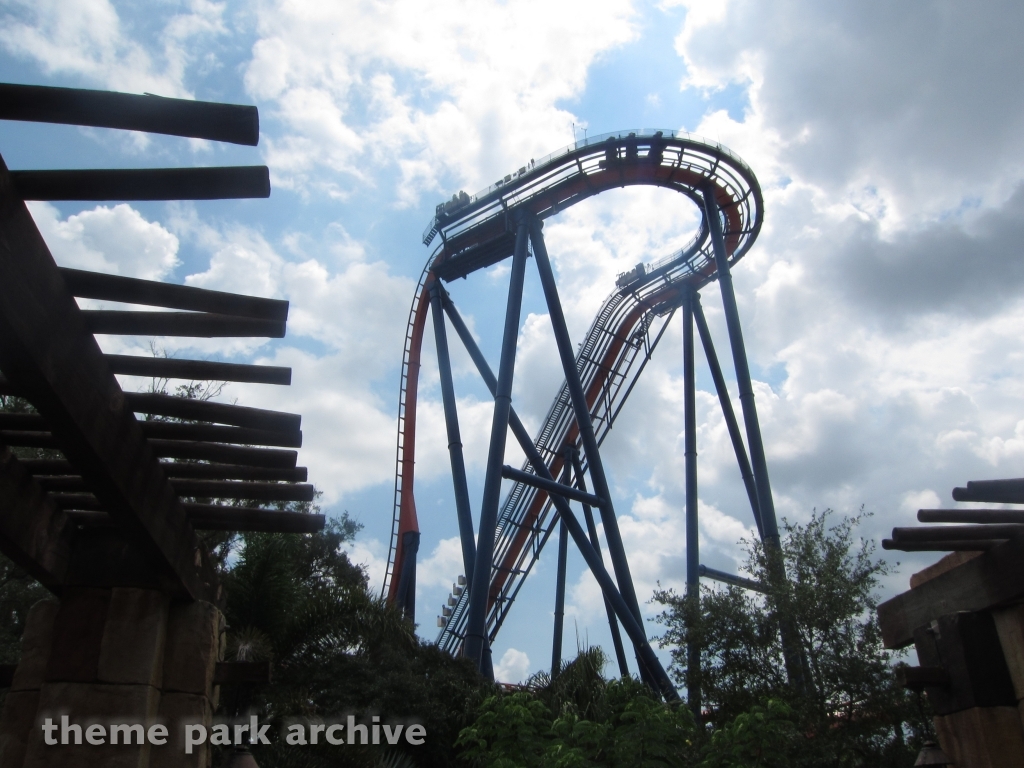 Sheikra at Busch Gardens Tampa