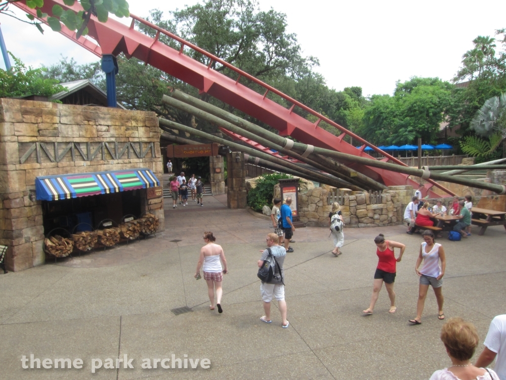 Sheikra at Busch Gardens Tampa