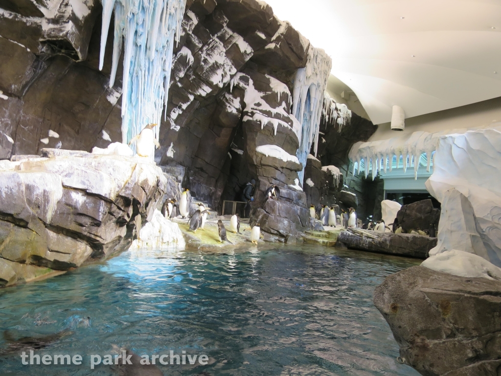 Antarctica Empire of the Penguin at SeaWorld Orlando