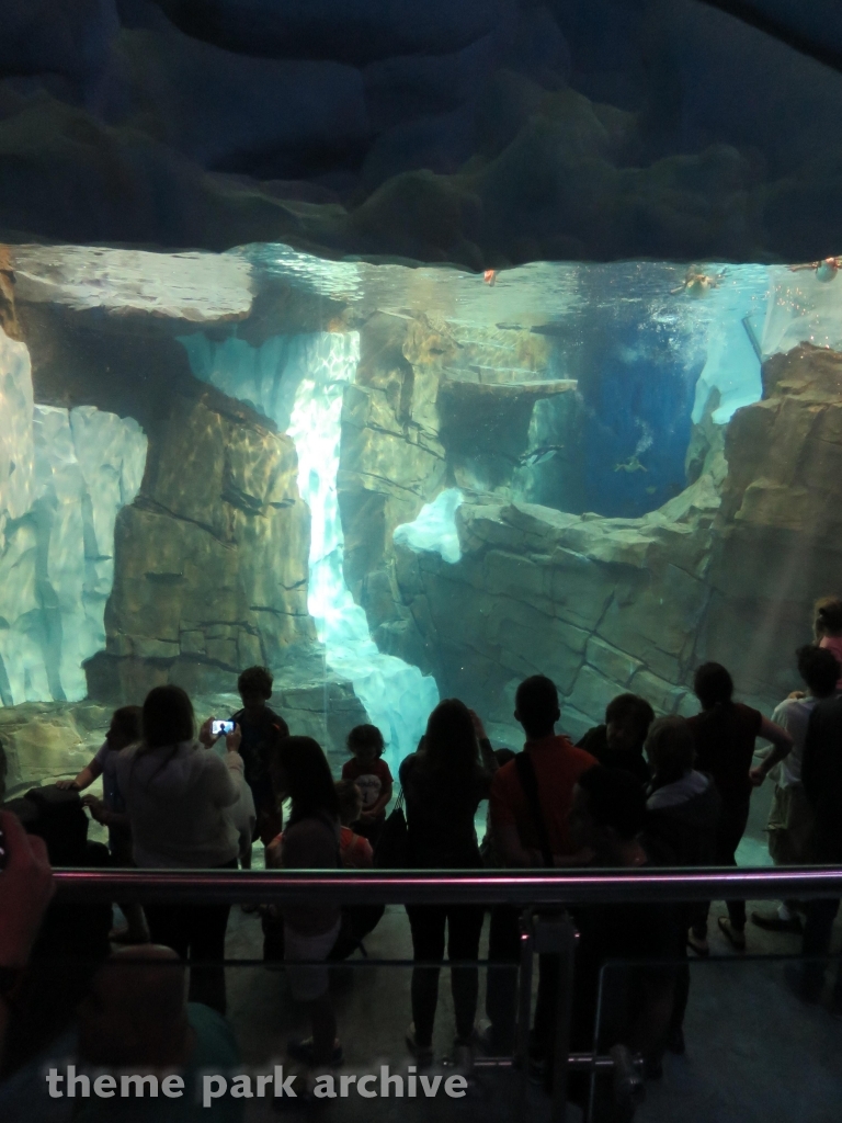 Antarctica Empire of the Penguin at SeaWorld Orlando