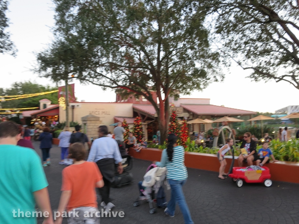 Misc at SeaWorld Orlando