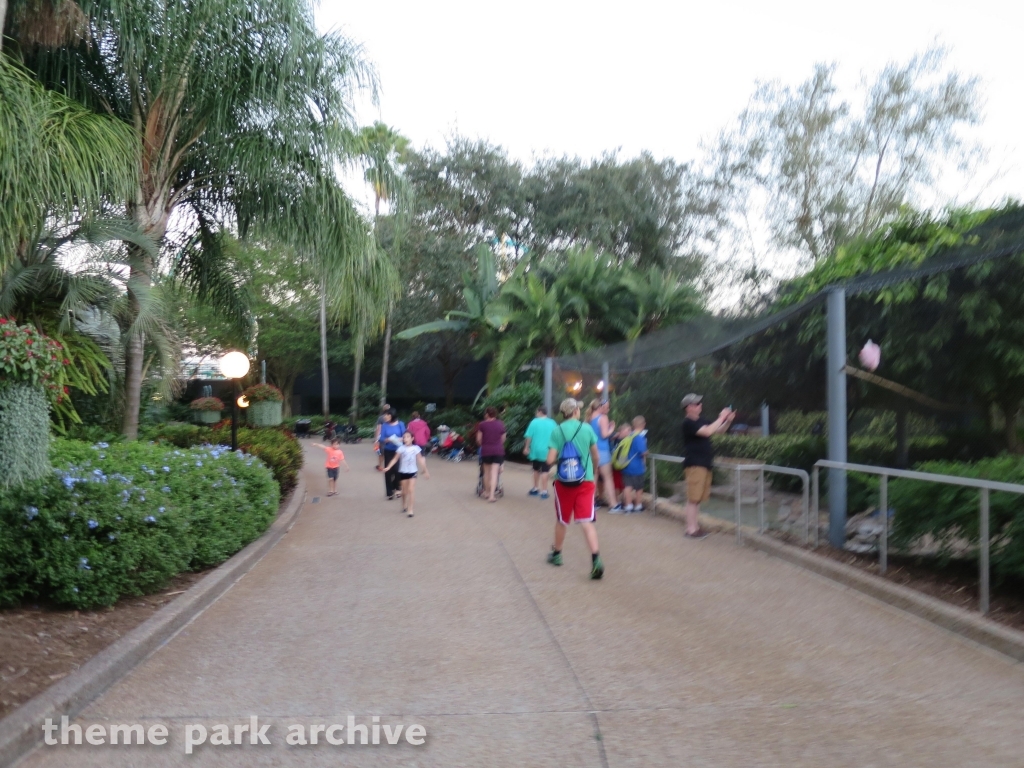 Misc at SeaWorld Orlando