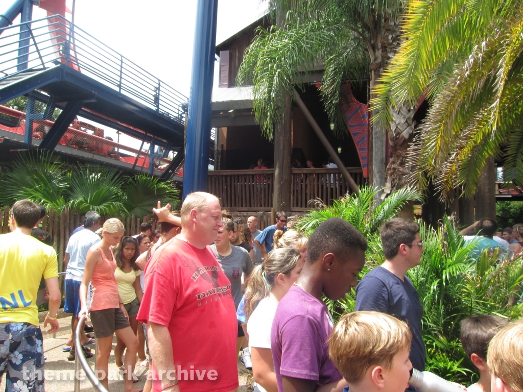 Sheikra at Busch Gardens Tampa