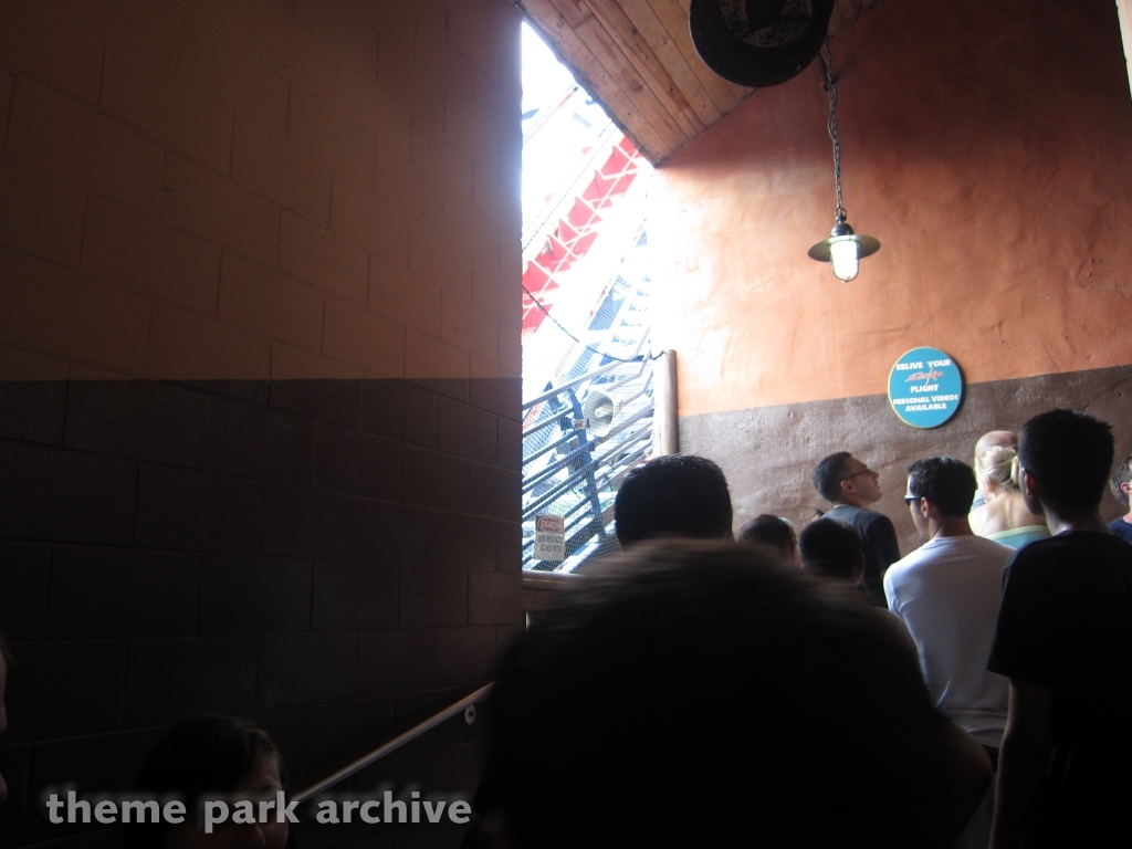 Sheikra at Busch Gardens Tampa