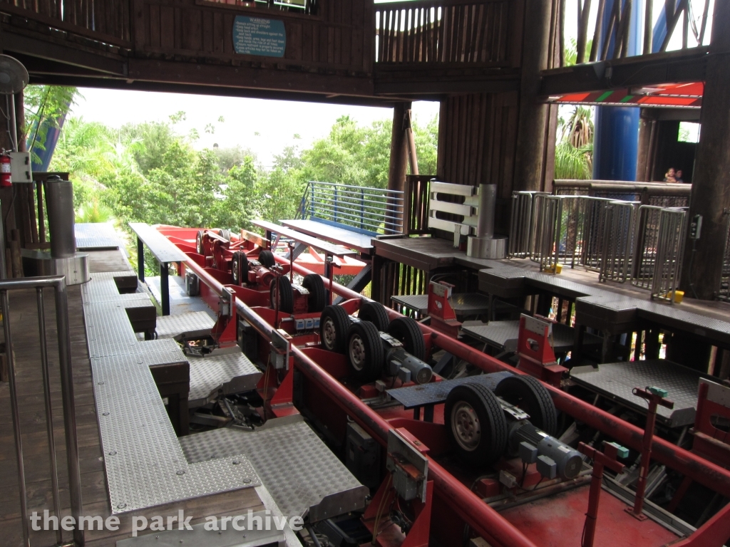 Sheikra at Busch Gardens Tampa