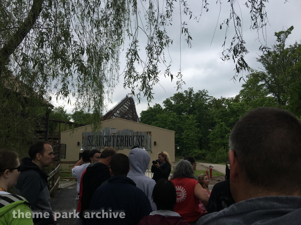 The Beast at Kings Island