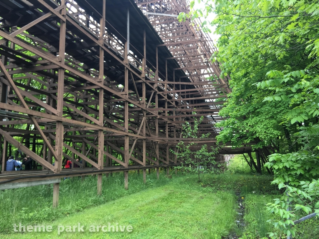 The Beast at Kings Island