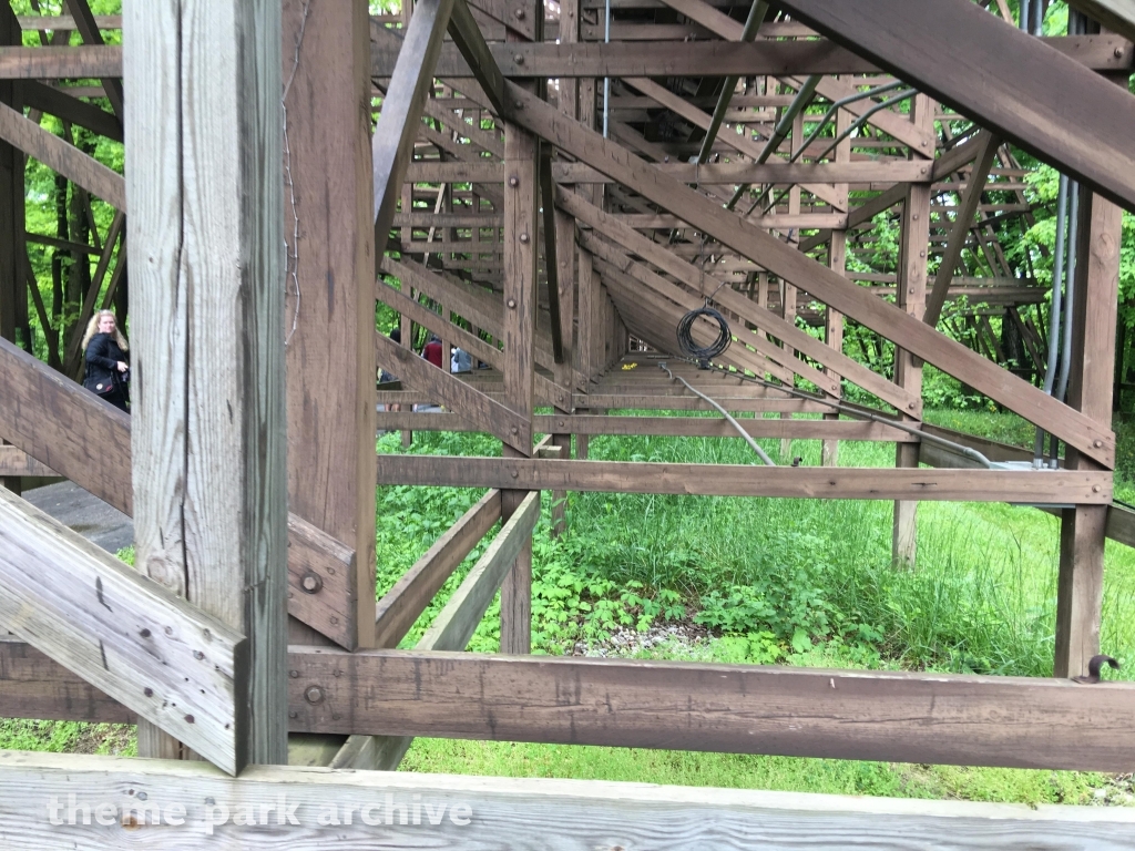 The Beast at Kings Island