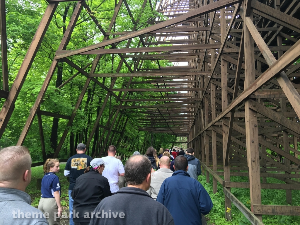 The Beast at Kings Island