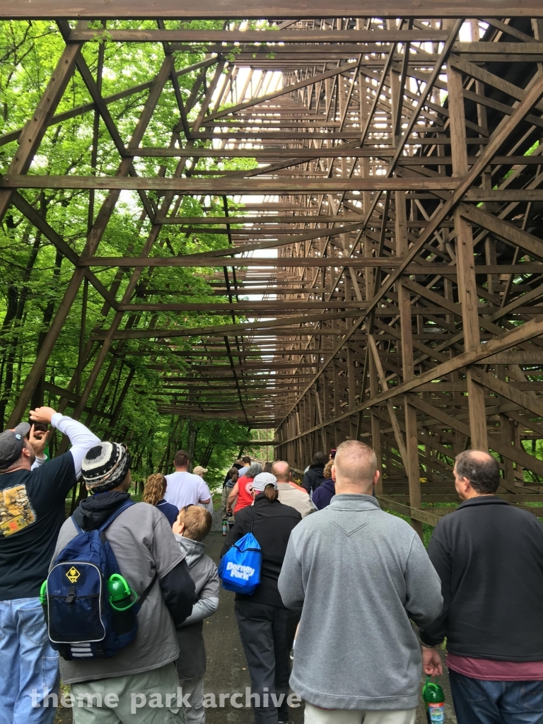 The Beast at Kings Island