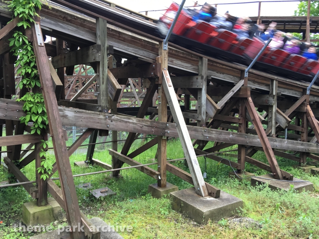 The Beast at Kings Island