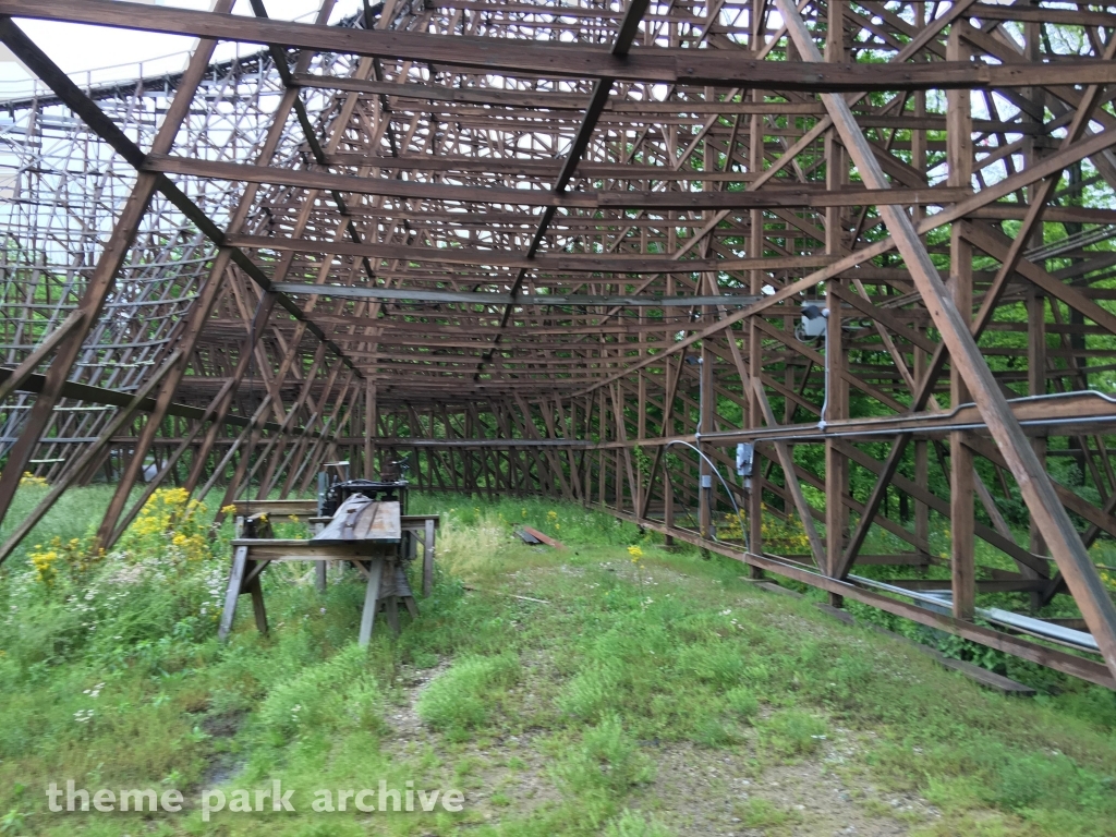 The Beast at Kings Island