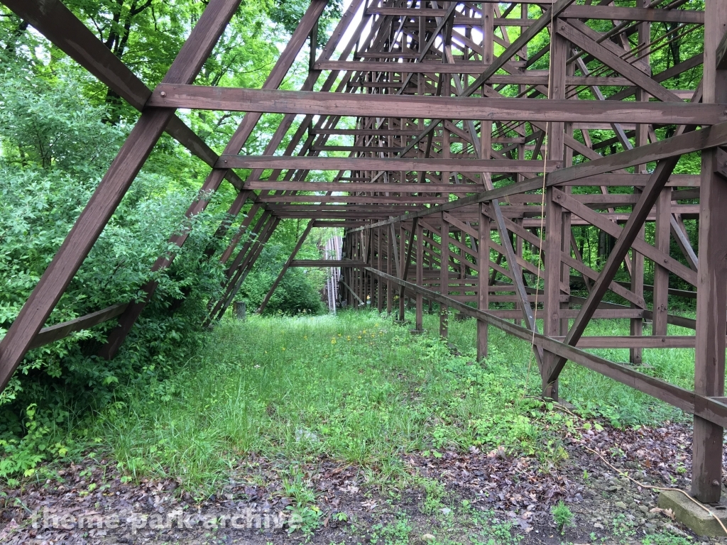 The Beast at Kings Island
