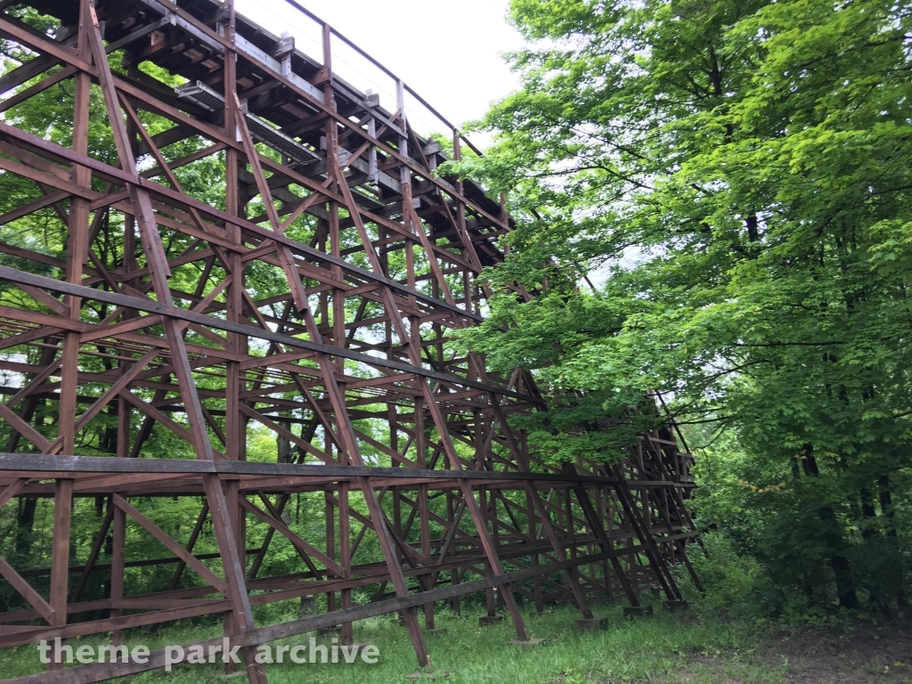 The Beast at Kings Island