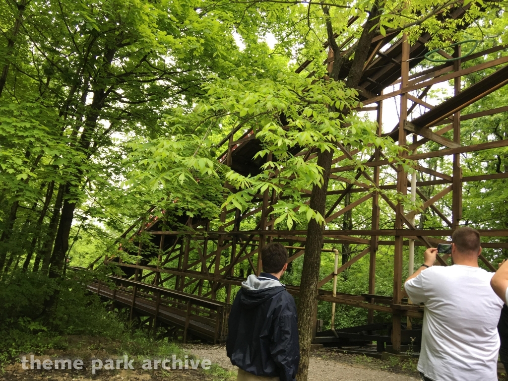 The Beast at Kings Island