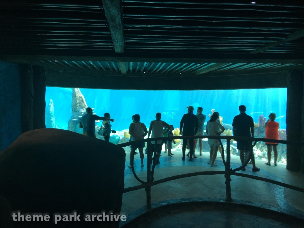 Discovery Point at SeaWorld San Antonio
