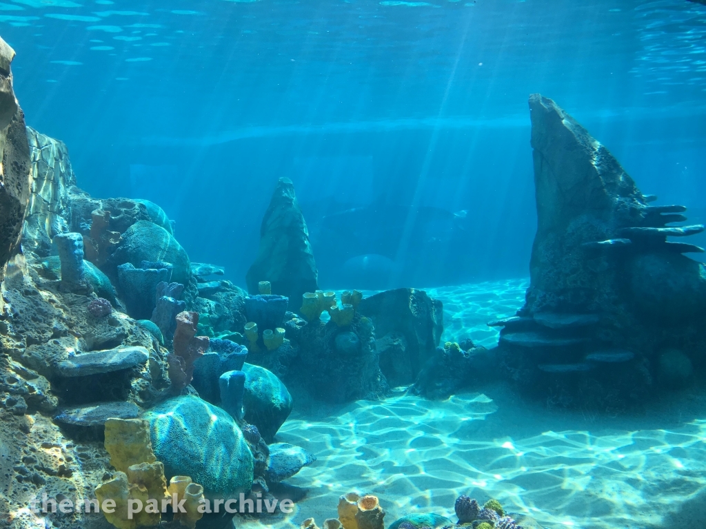 Discovery Point at SeaWorld San Antonio