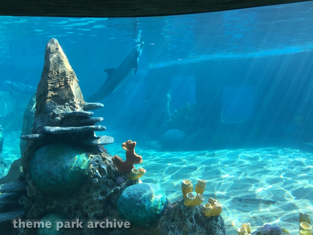 Discovery Point at SeaWorld San Antonio