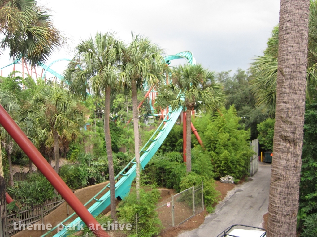 Kumba at Busch Gardens Tampa