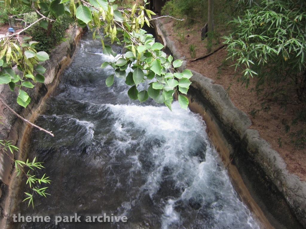 Congo River Rapids at Busch Gardens Tampa