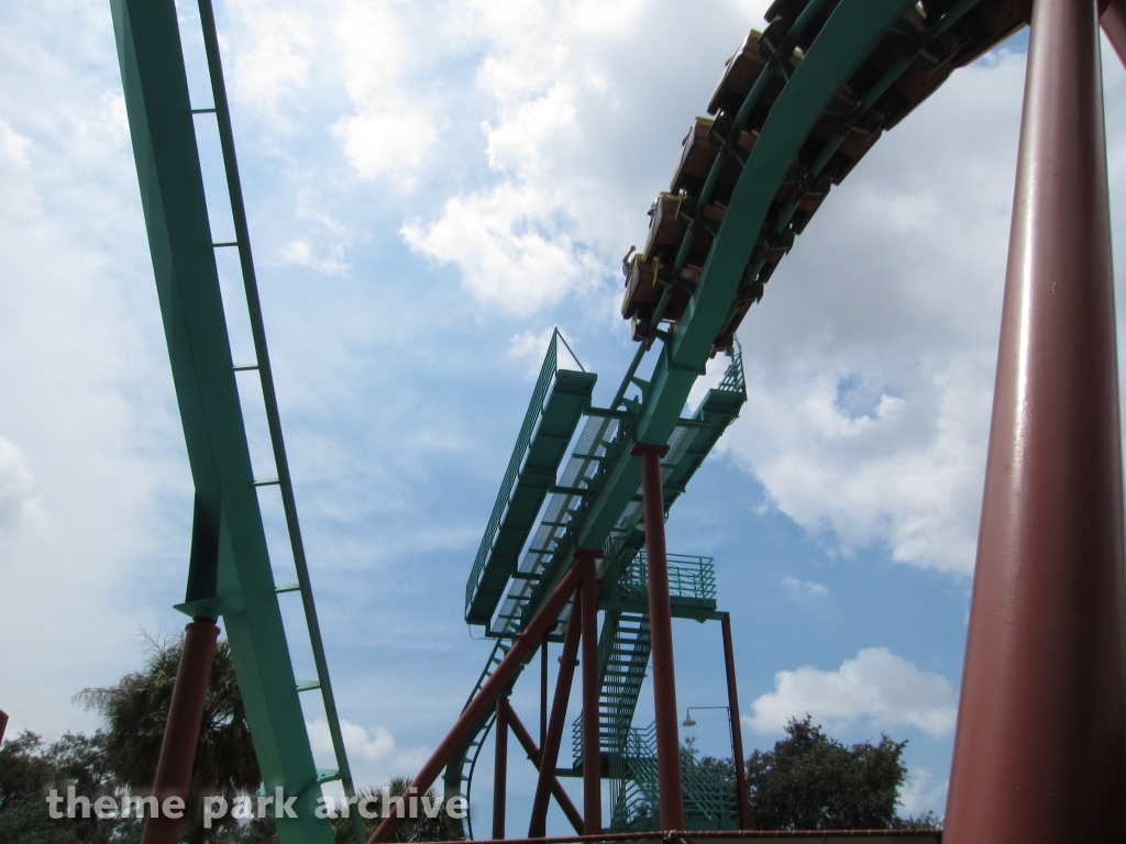 Kumba at Busch Gardens Tampa