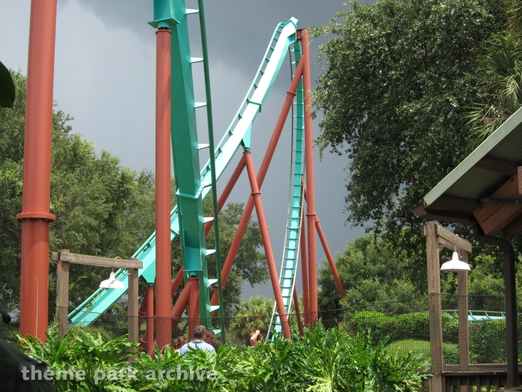 Kumba at Busch Gardens Tampa