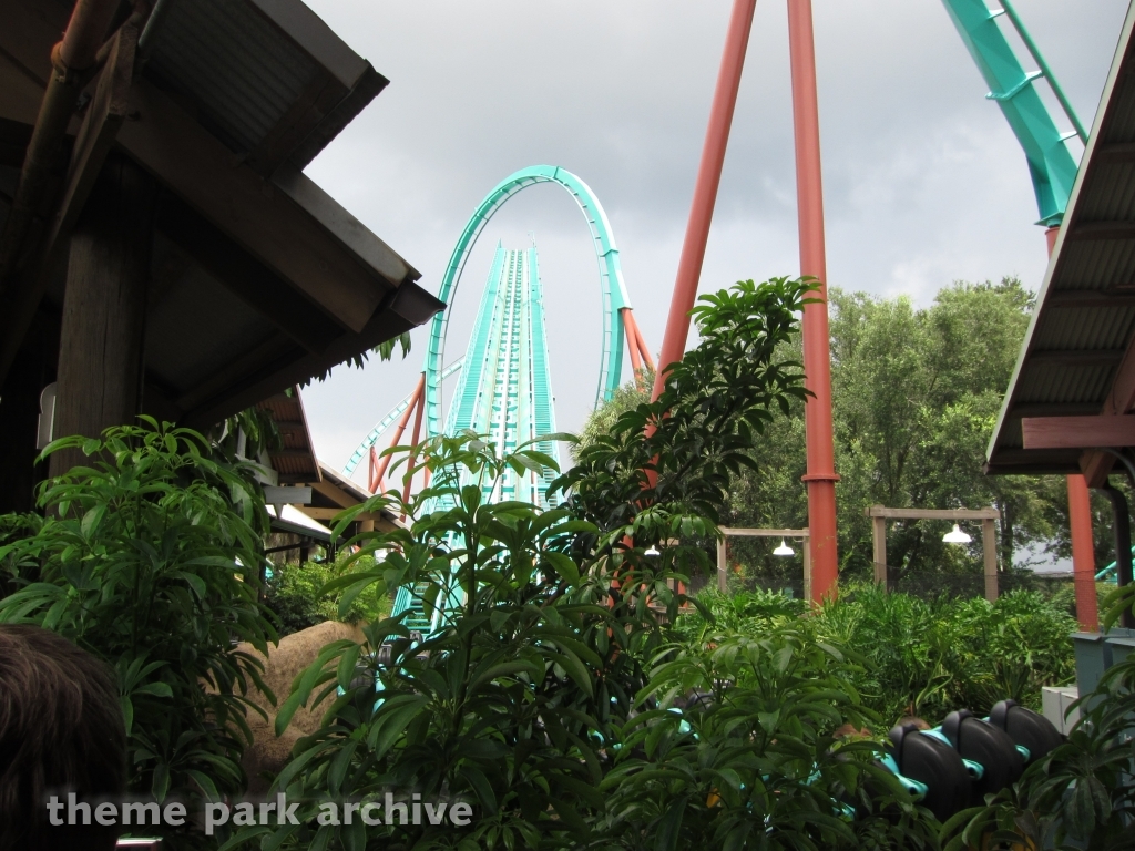 Kumba at Busch Gardens Tampa