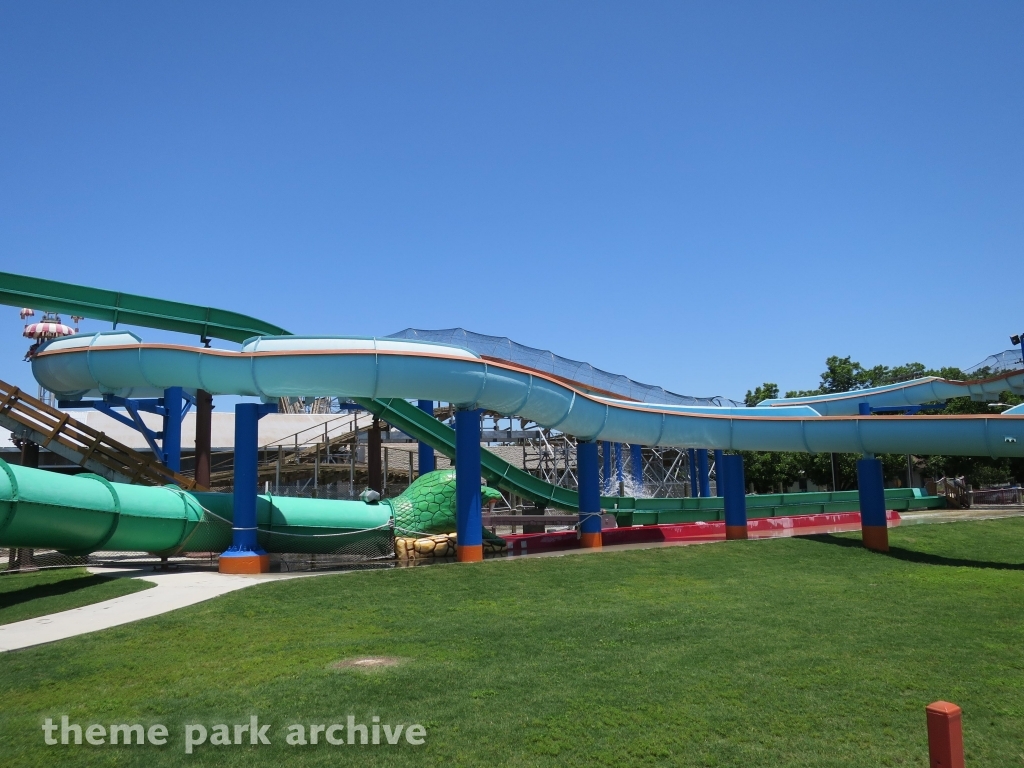 Mad Raft at ZDT's Amusement Park