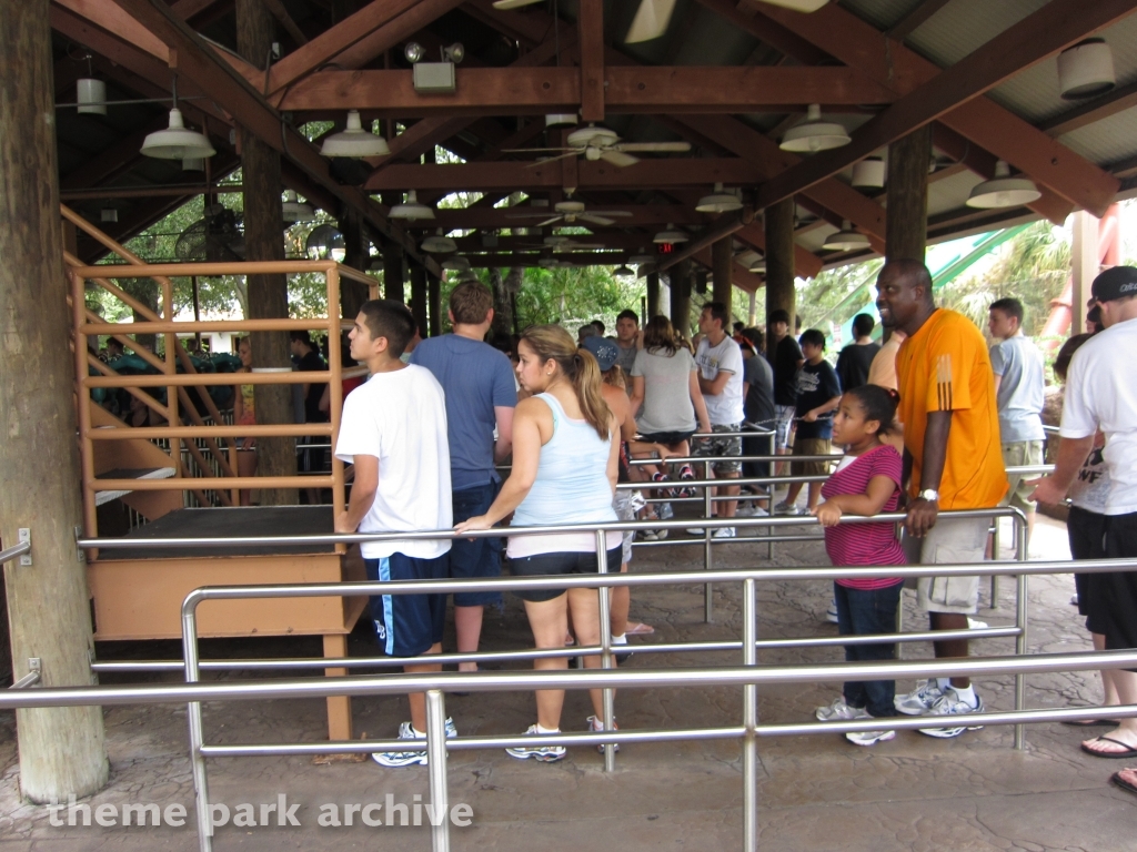 Kumba at Busch Gardens Tampa