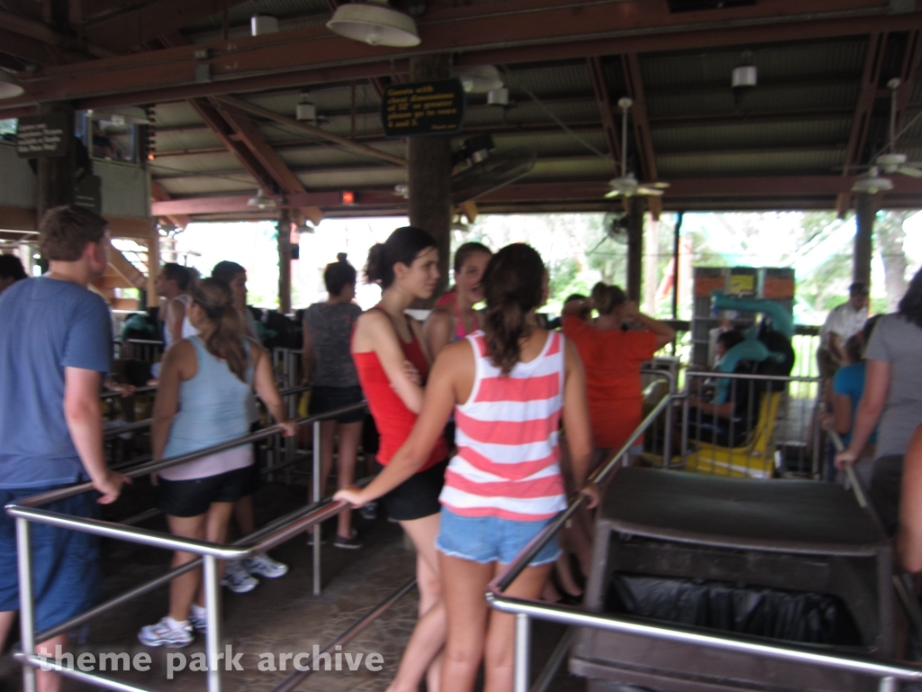 Kumba at Busch Gardens Tampa