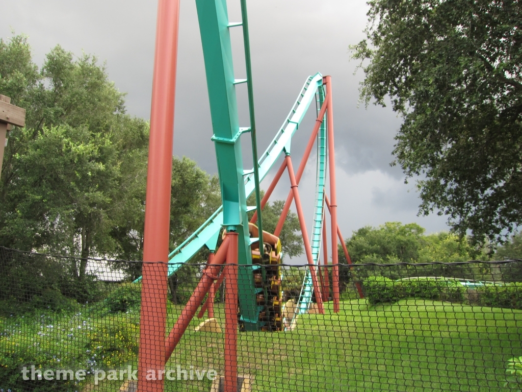 Kumba at Busch Gardens Tampa