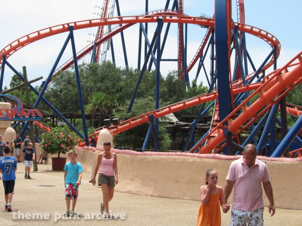 Scorpion at Busch Gardens Tampa