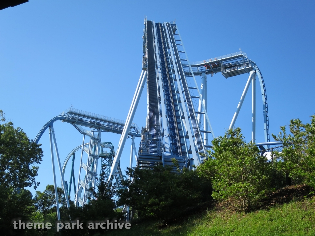 Griffon at Busch Gardens Williamsburg
