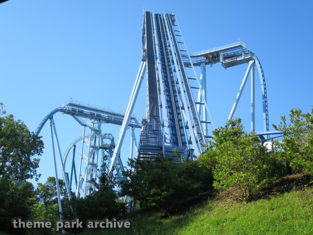 Griffon at Busch Gardens Williamsburg