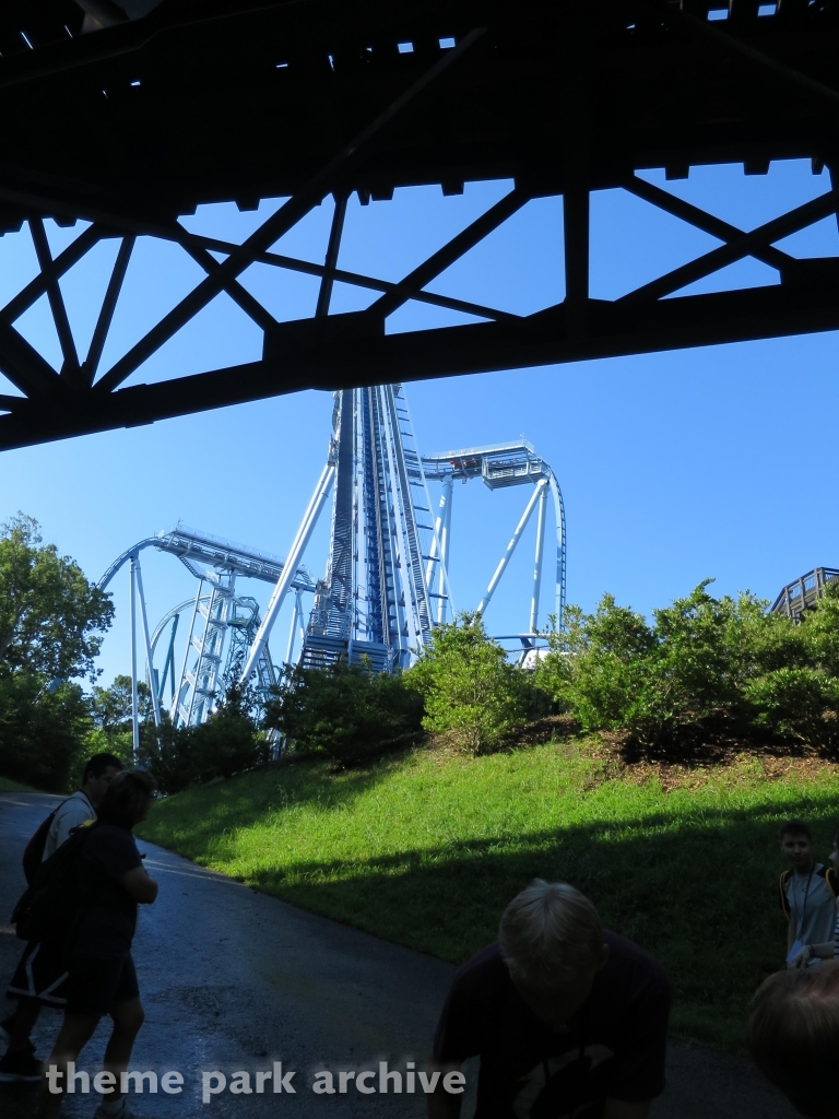 Griffon at Busch Gardens Williamsburg
