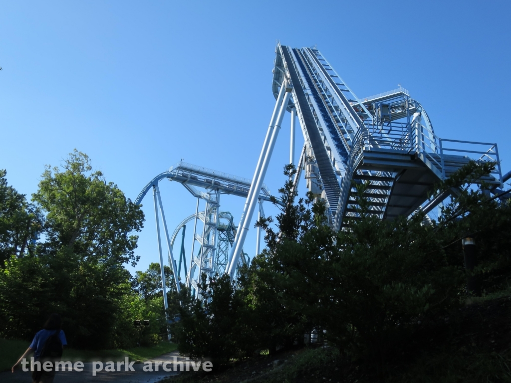 Griffon at Busch Gardens Williamsburg