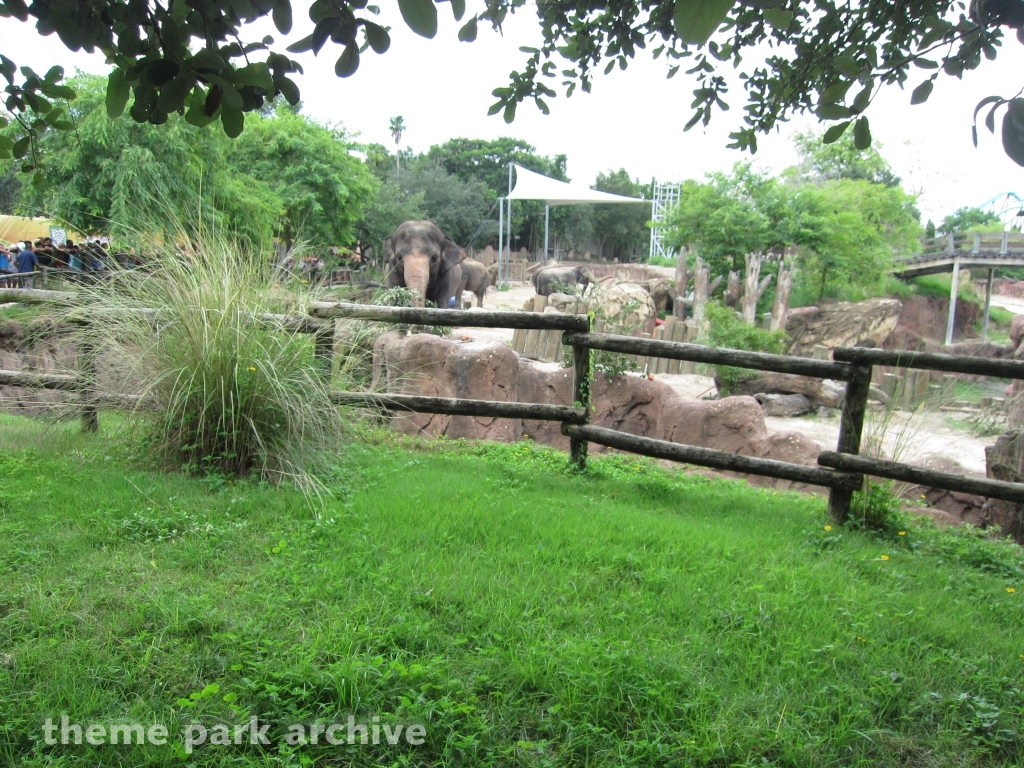Nairobi at Busch Gardens Tampa