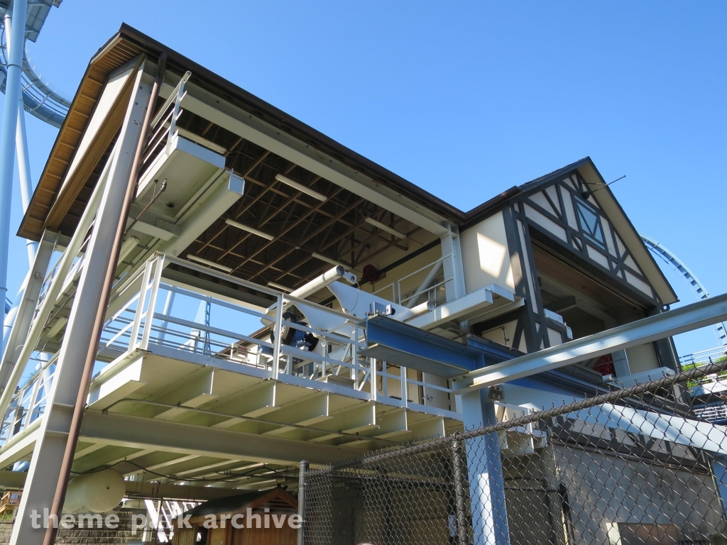 Griffon at Busch Gardens Williamsburg
